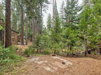 2347 Karock Rd, Dorrington, CA 95223 Photo