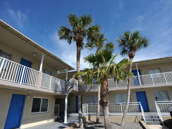 415 N Halifax Avenue, Unit 103, Daytona Beach, FL 32118