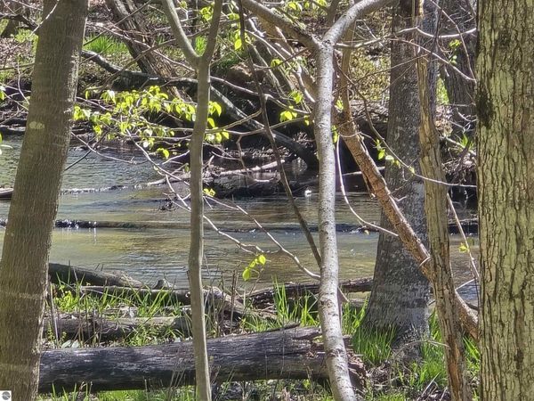 10096 Grindstone Road, Evart, MI 49631