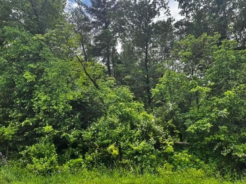 0 Lower Fredericktown Amity Road , Butler, OH 44822 Photo 3