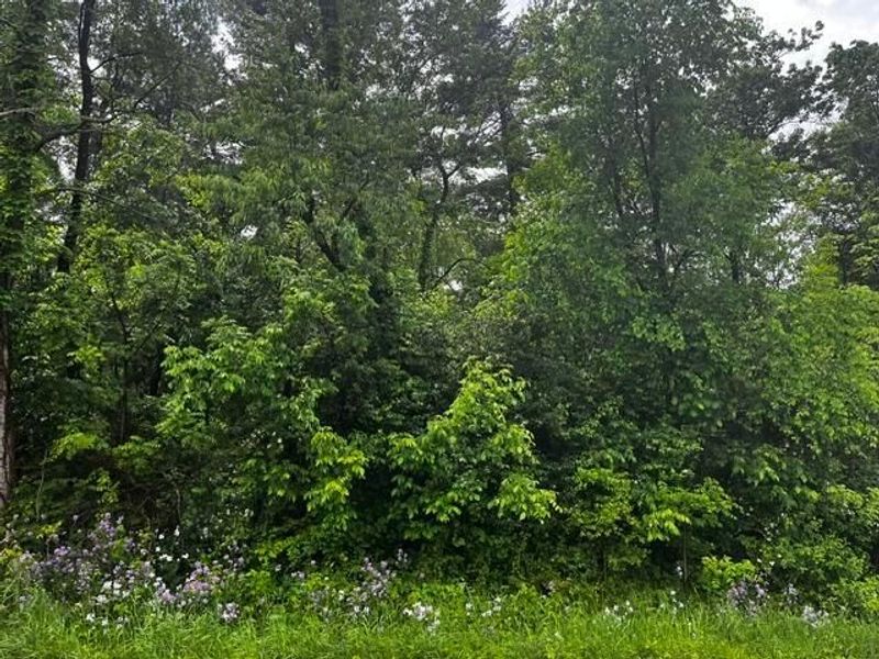 0 Lower Fredericktown Amity Road , Butler, OH 44822 Photo 4