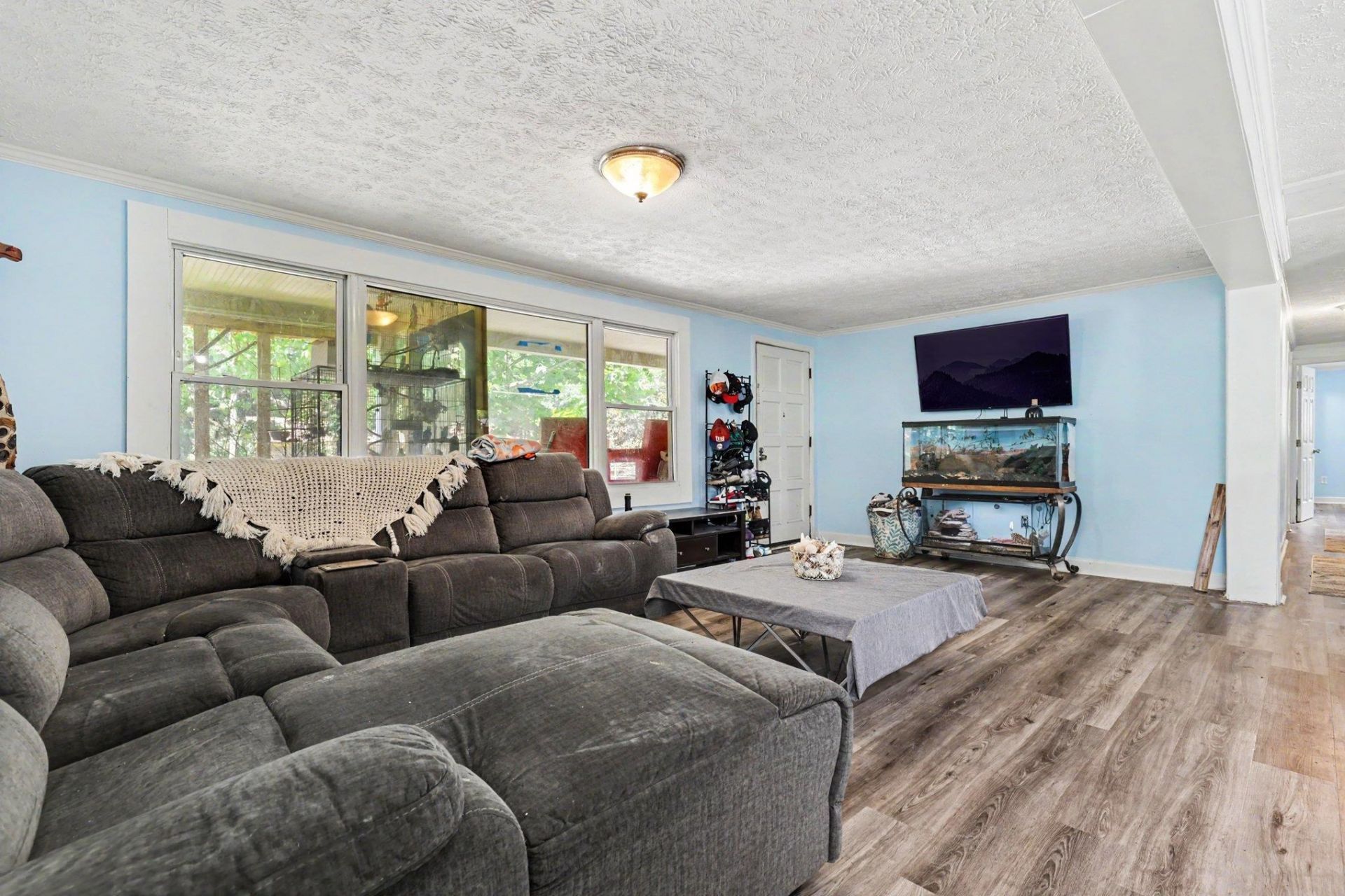 167 Ranchette Circle  Photo 5