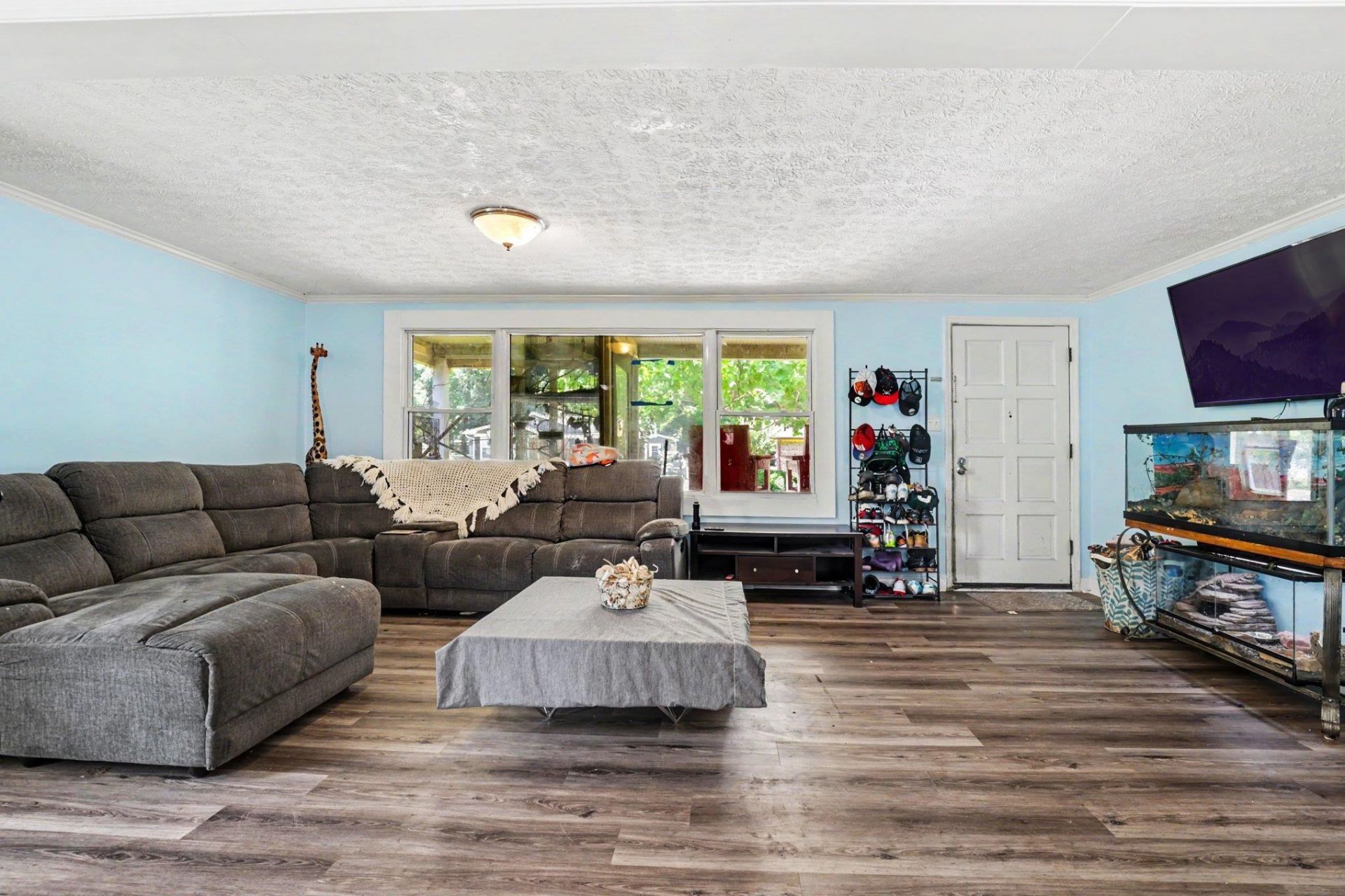167 Ranchette Circle  Photo 6