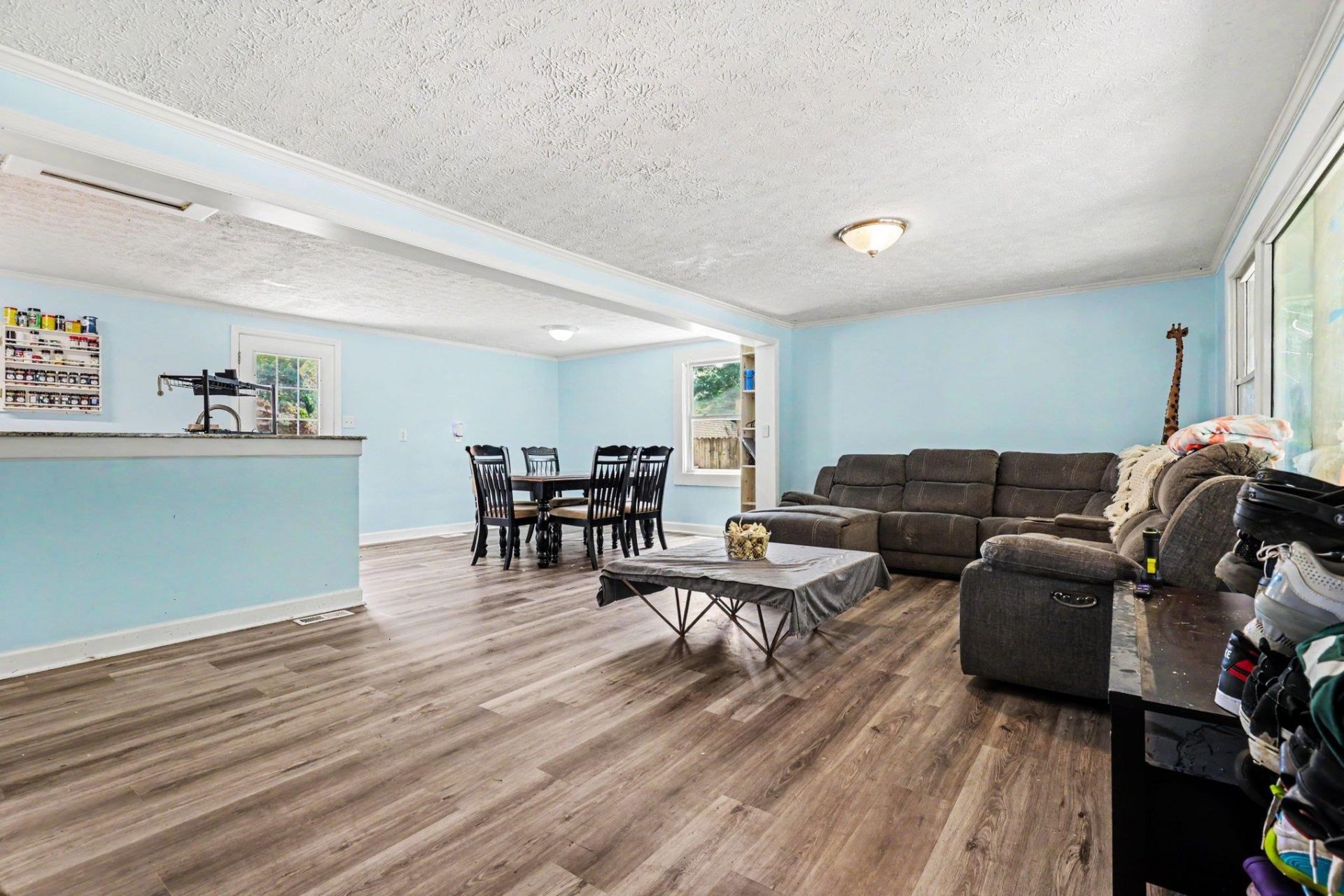 167 Ranchette Circle  Photo 7
