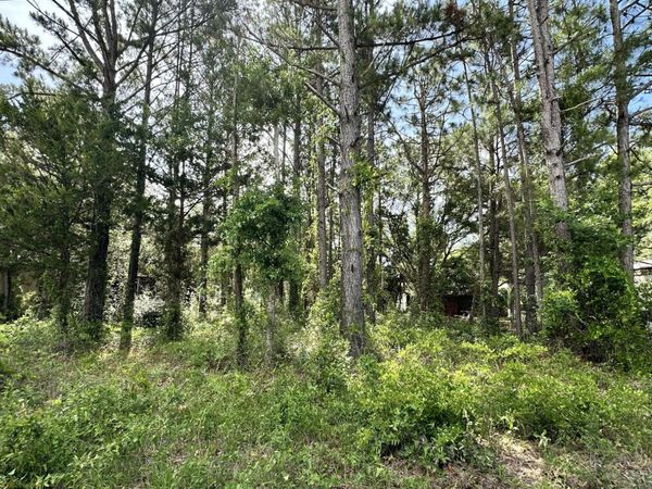 2983 Canna Place SW, Shallotte, NC 28470
