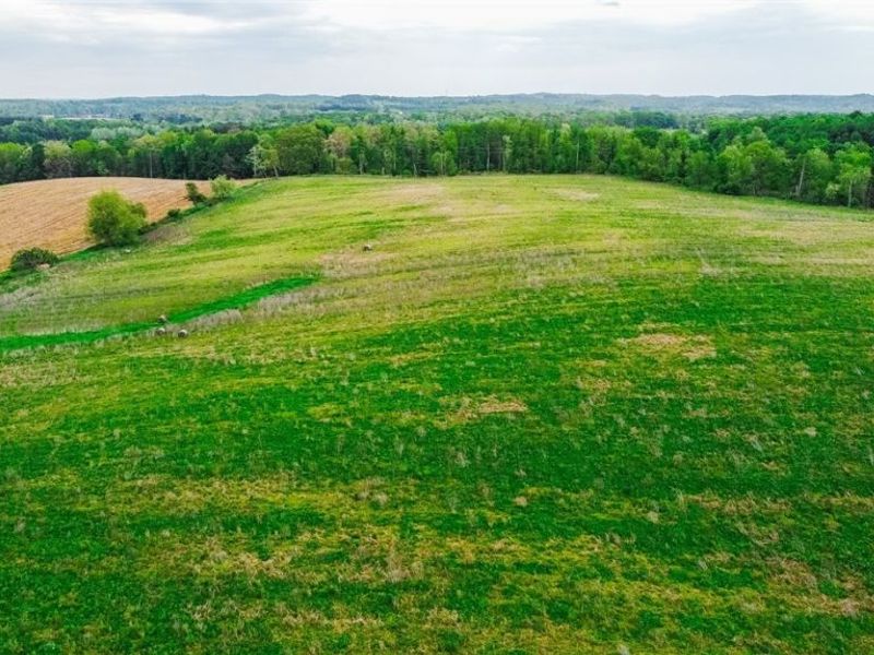 Emerick Road , Salineville, OH 43945 Photo 14