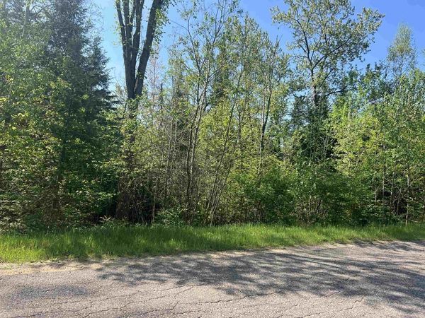 FOREST HILL DRIVE, Townsend, WI 54175