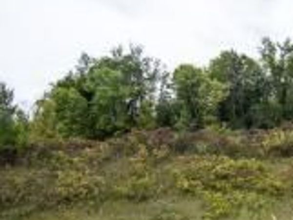 XXXX Lake Ridge Drive , Prior Lake, MN 55372