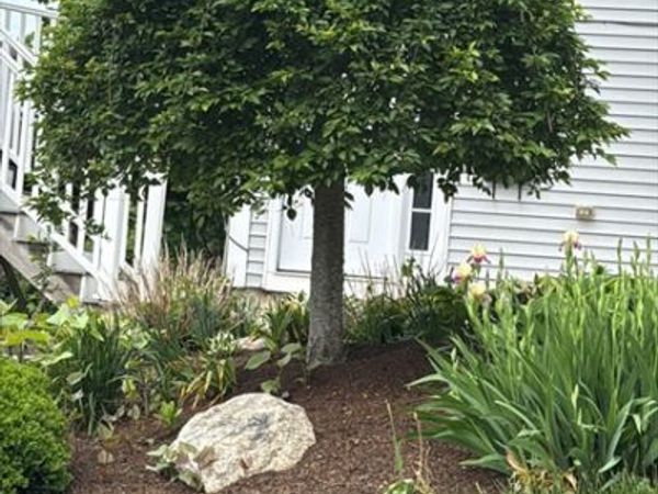 1 Clegg St, Worcester, MA 01603