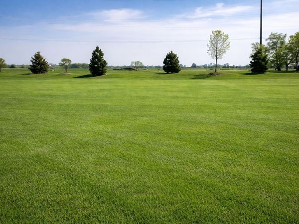 9420 W MAJESTIC Drive , Monee, IL 60449