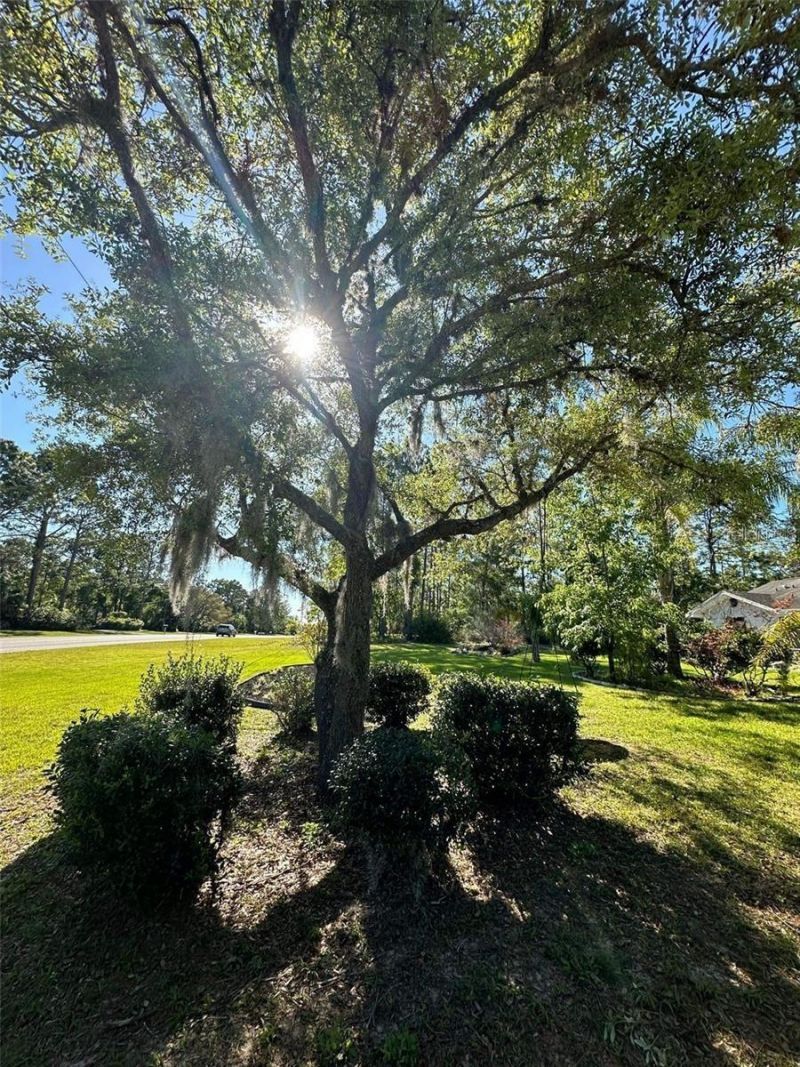 4353 W Pine Ridge Boulevard, Beverly Hills, FL 34465 Photo