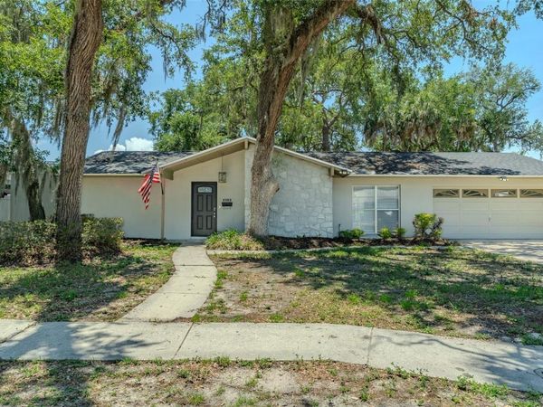8018 W POCAHONTAS AVENUE , TAMPA, FL 33615