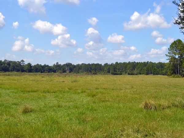 NW 202ND STREET , HIGH SPRINGS, FL 32643
