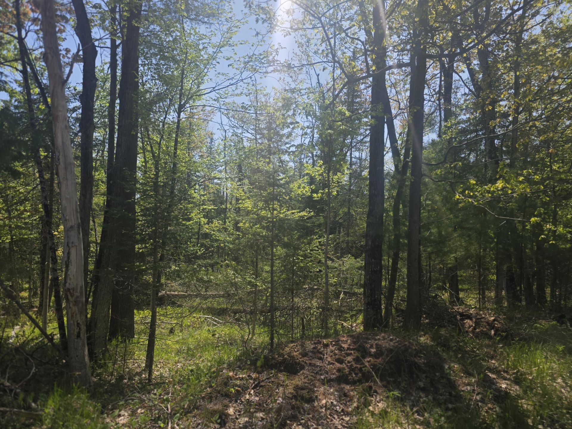 Lots 9-10 N Lakeshore Drive, Harrisville, MI 48740 Main Photo