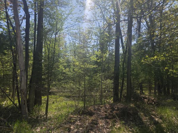 Lots 9-10 N Lakeshore Drive, Harrisville, MI 48740
