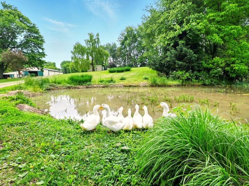 7955 Horn Road, Gambier, OH 43022 Photo 14
