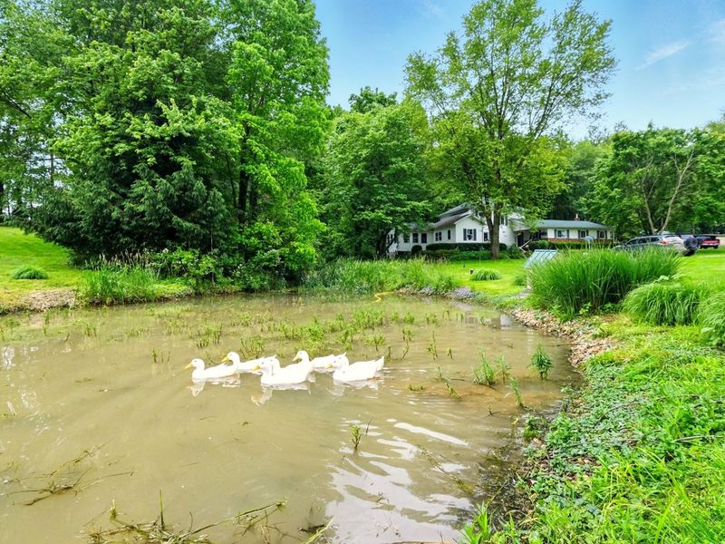 7955 Horn Road, Gambier, OH 43022 Photo 19
