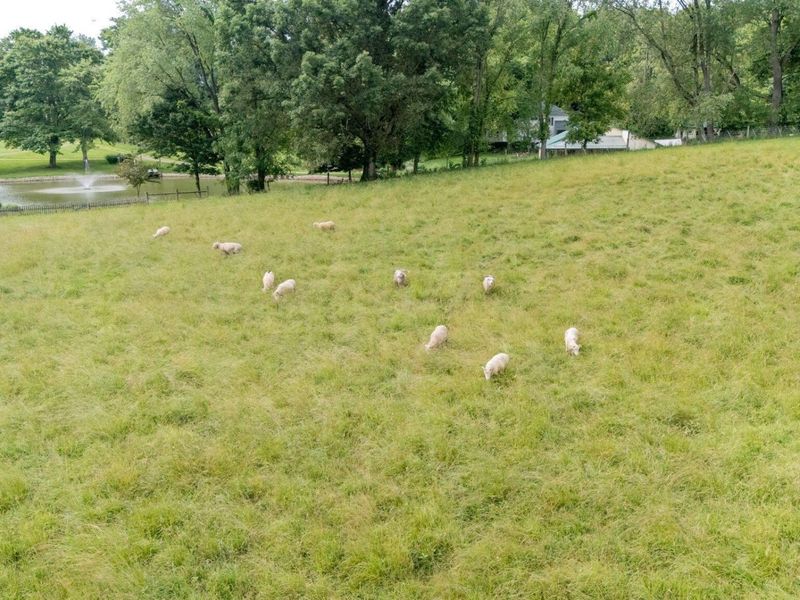 7955 Horn Road, Gambier, OH 43022 Photo 89
