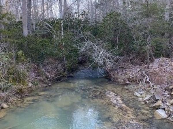 142 Cole Road , Deer Lodge, TN 37726