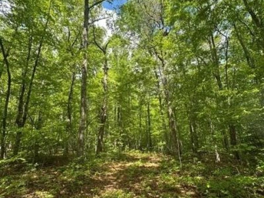Property Image 63