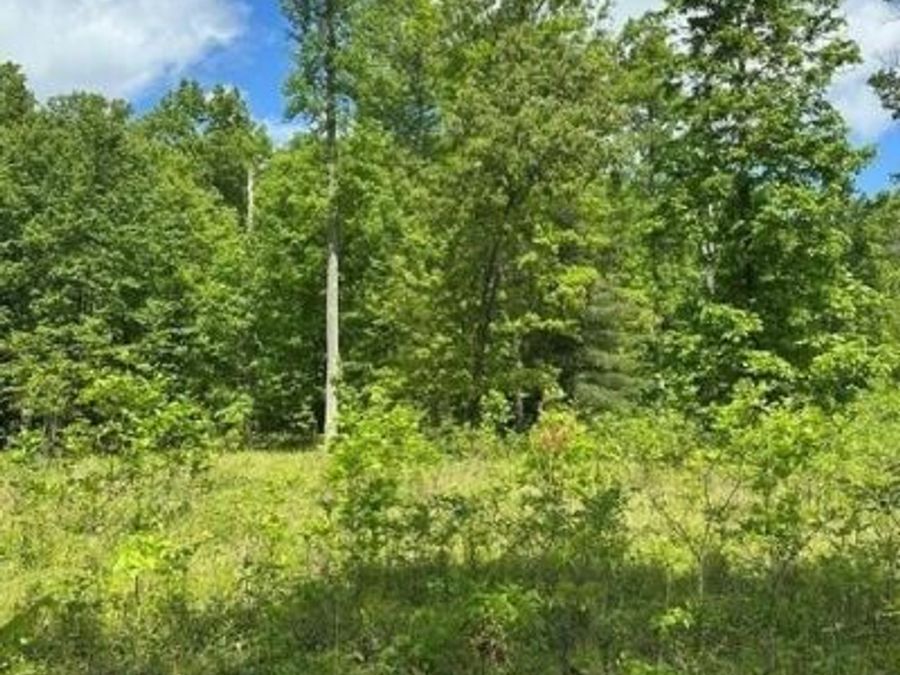 Property Image 69