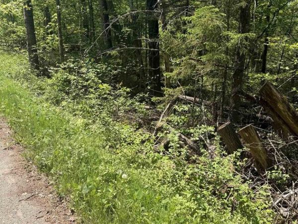 LOWER DAM ROAD, Mountain, WI 54149