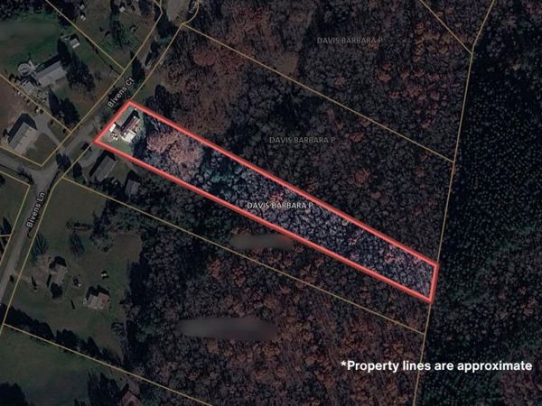 160 Bivens Court , Niota, TN 37826