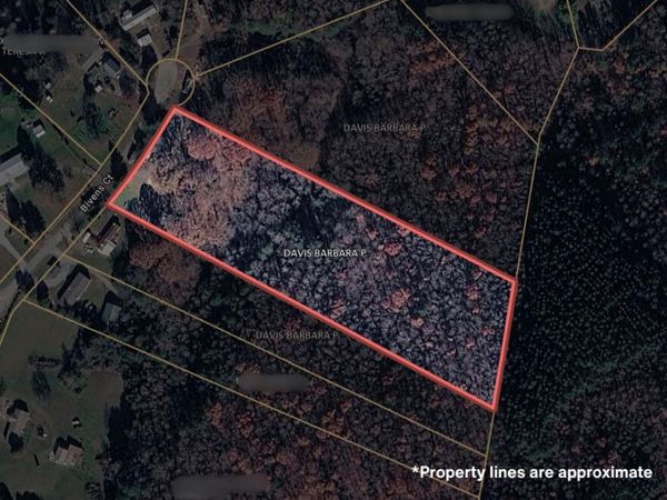 180 Bivens Court , Niota, TN 37826