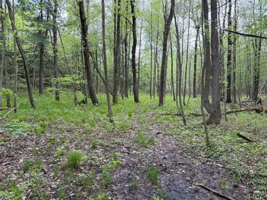 Slew Road, South Dayton, NY 14138