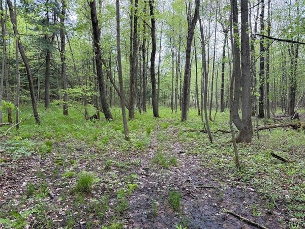 Slew Road , South Dayton, NY 14138
