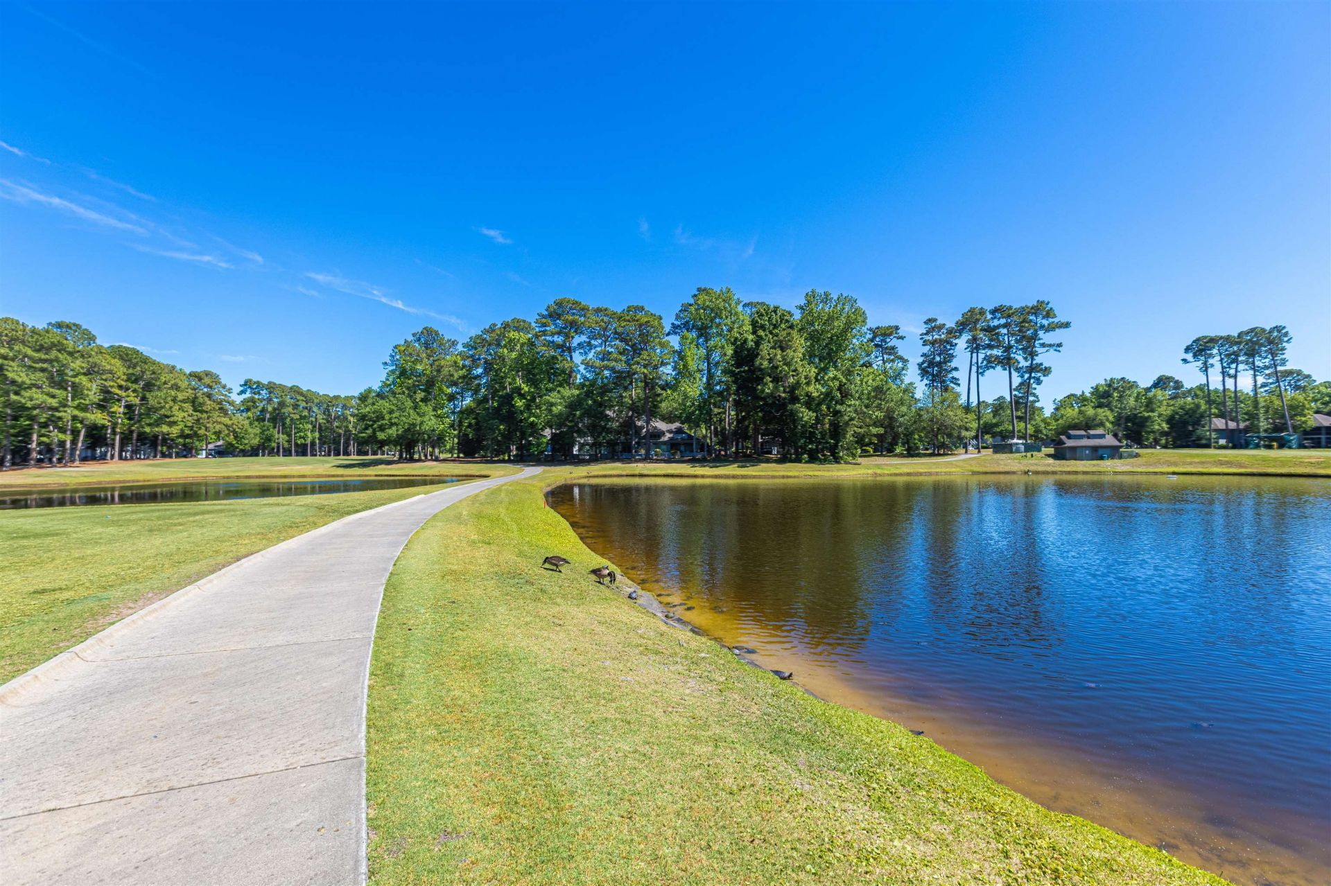 1550 Spinnaker Dr.  Photo 29