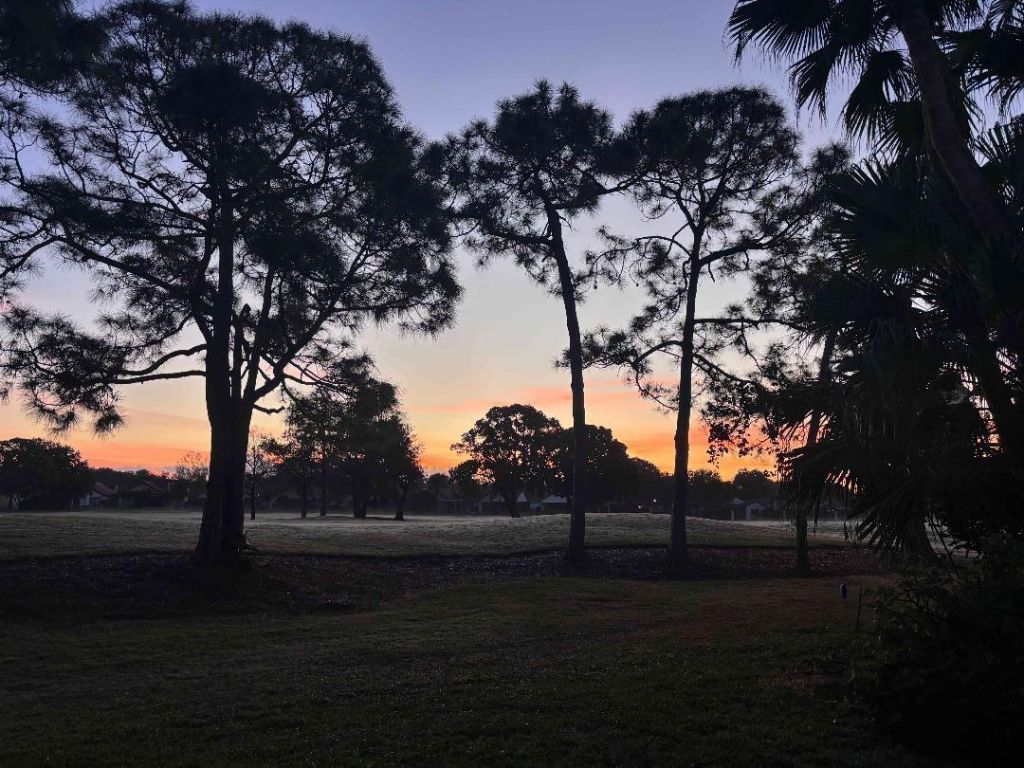 49 VÃ­a Verona, Palm Beach Gardens, FL 33418 Photo