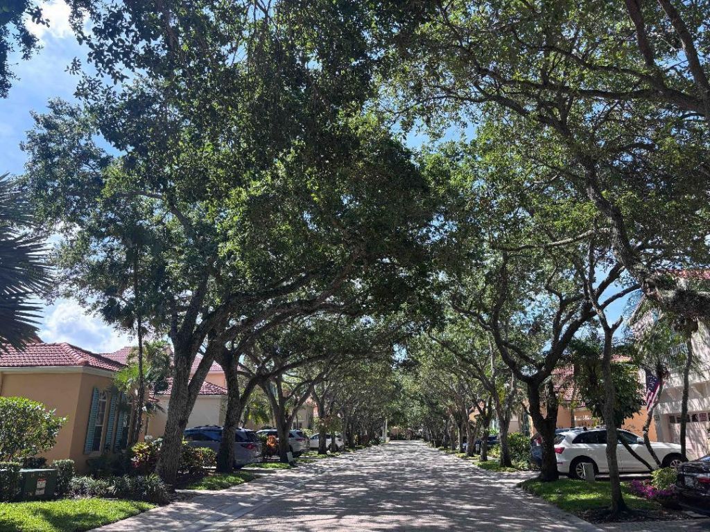 49 VÃ­a Verona, Palm Beach Gardens, FL 33418 Photo