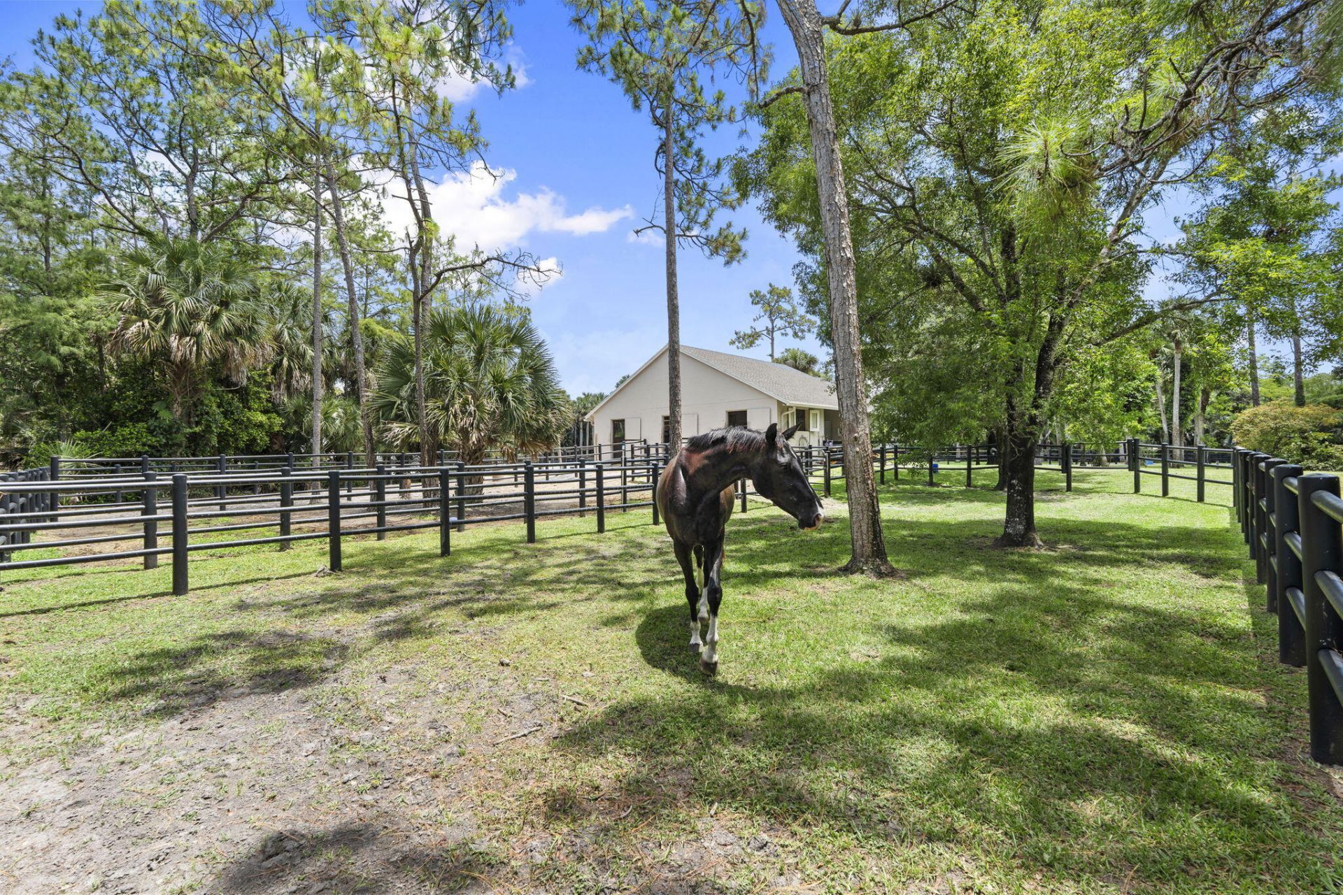 17225 Mare Lane, Loxahatchee, FL 33470 Photo