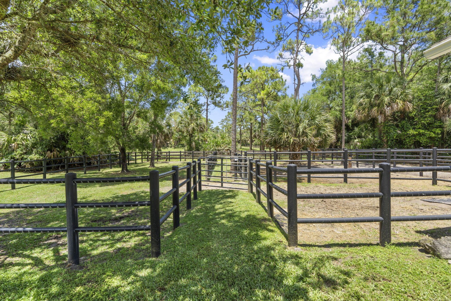 17225 Mare Lane, Loxahatchee, FL 33470 Photo