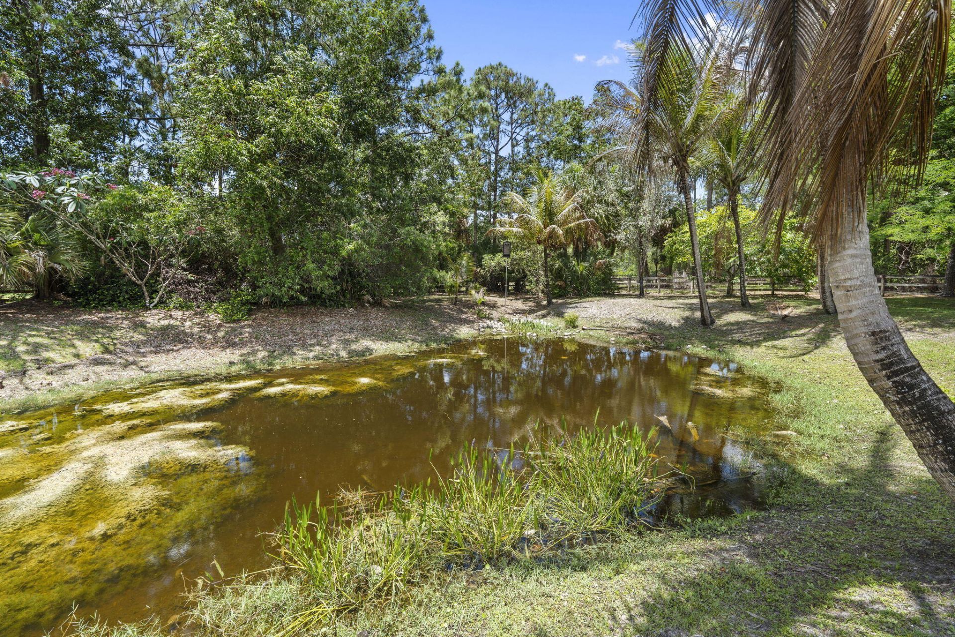 17225 Mare Lane, Loxahatchee, FL 33470 Photo