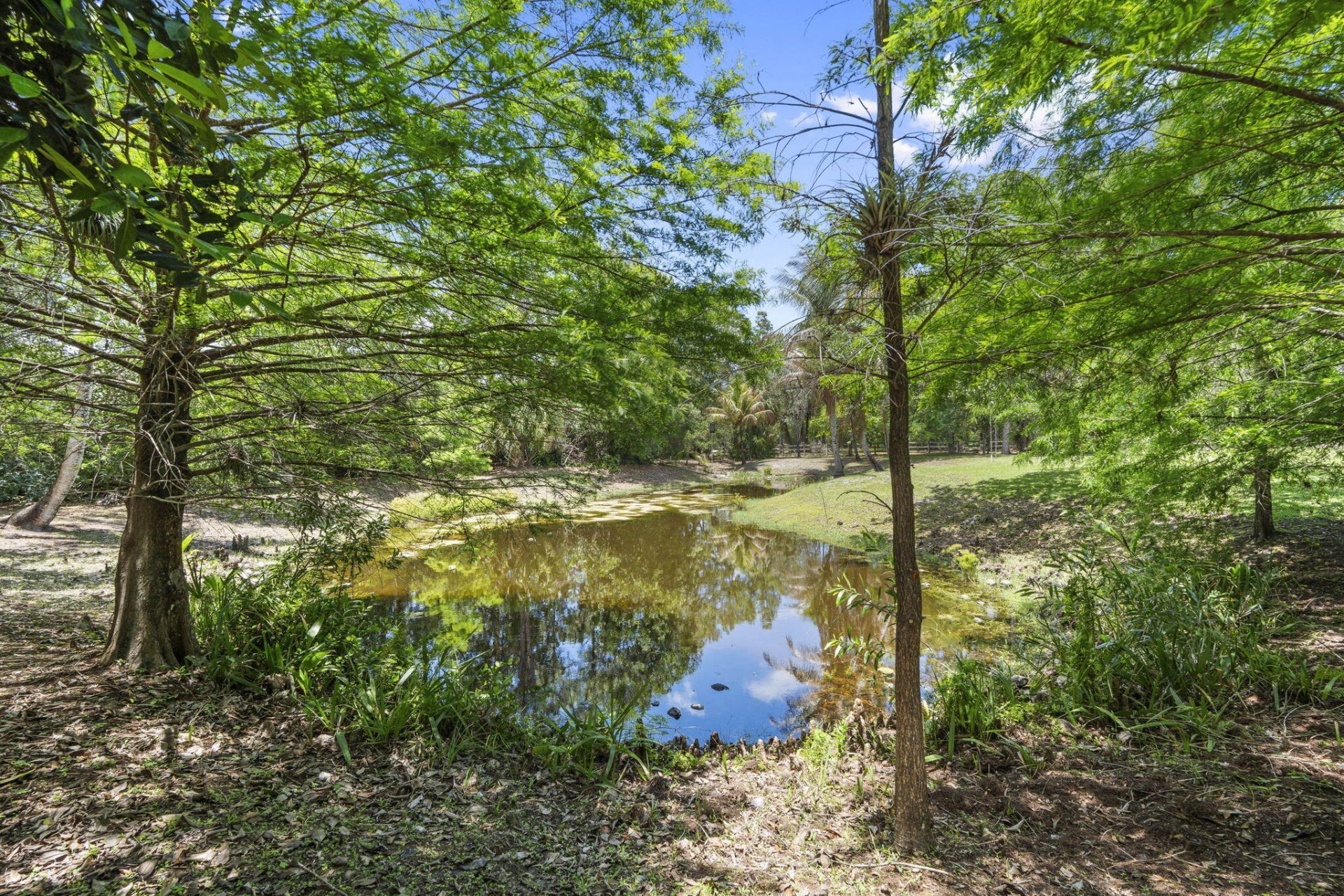 17225 Mare Lane, Loxahatchee, FL 33470 Photo