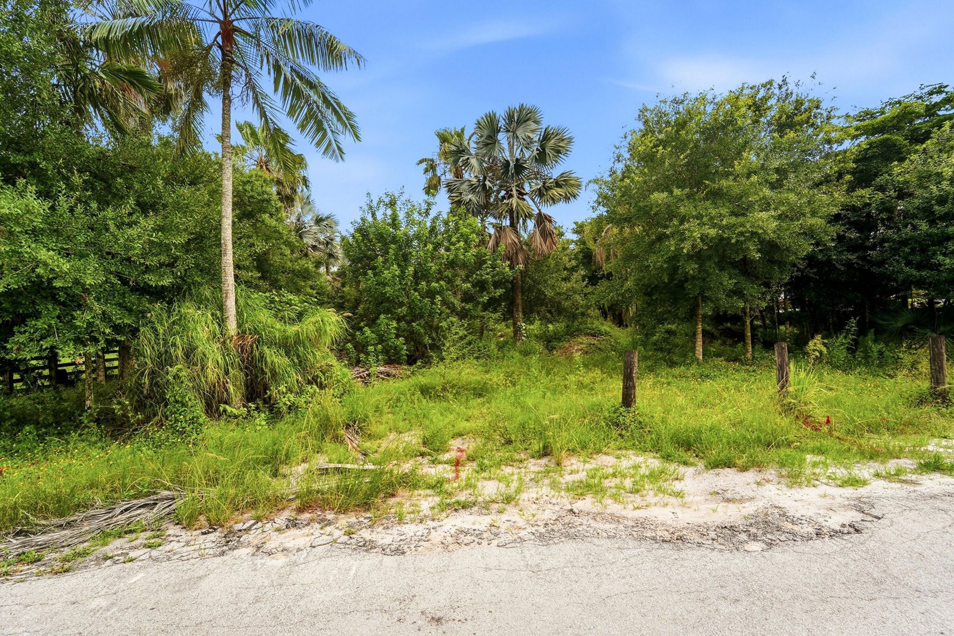 9080 NW 72nd Street, Parkland, FL 33067 Photo