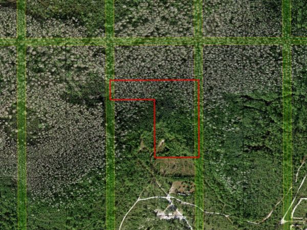 0 Holopaw Groves Road, St. Cloud, FL 34772