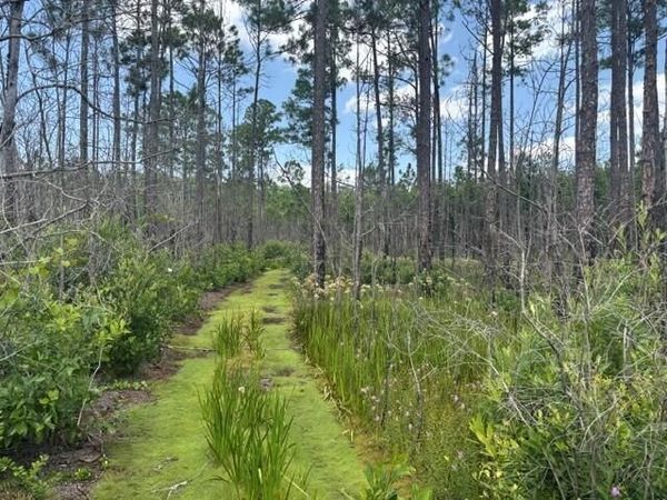 0 Holopaw Groves Road, St. Cloud, FL 34772
