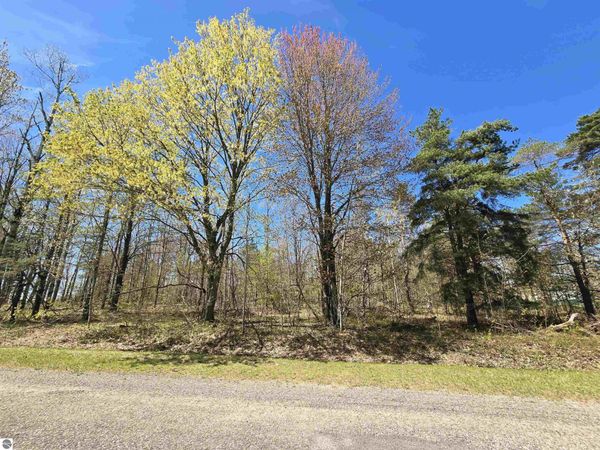 235 Country Club Drive, Mancelona, MI 49569