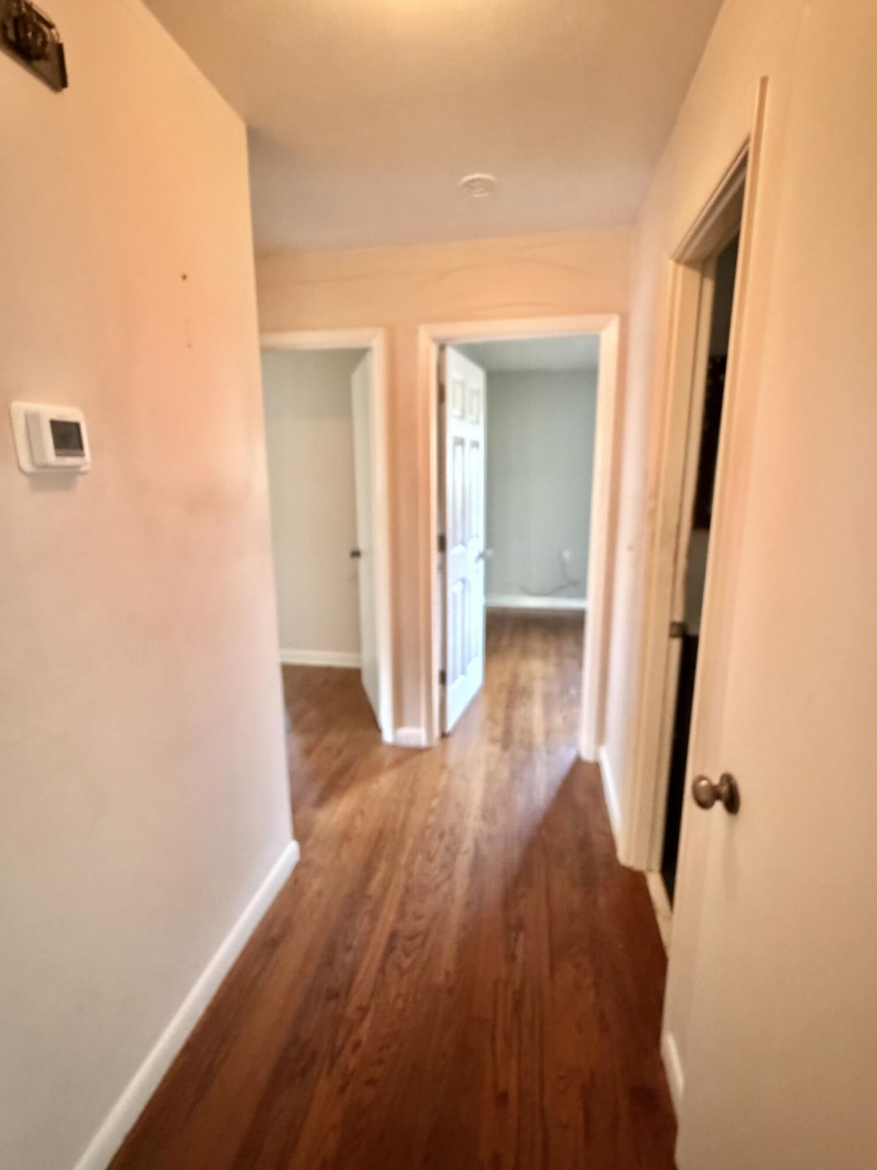 4640 Darlene Street Photo 20