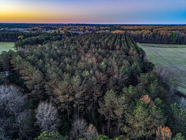 Co Rd 64, Woodland, MS 39776