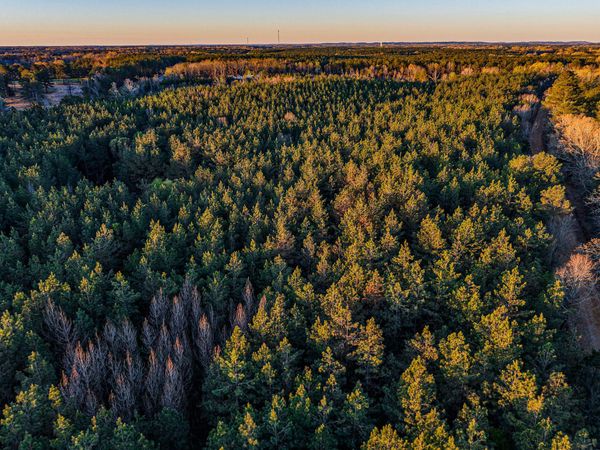 County Road 65, Woodland, MS 39776
