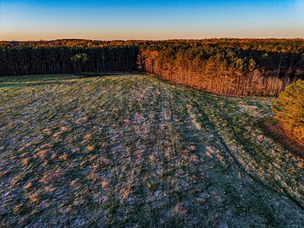 County Road 65, Woodland, MS 39776