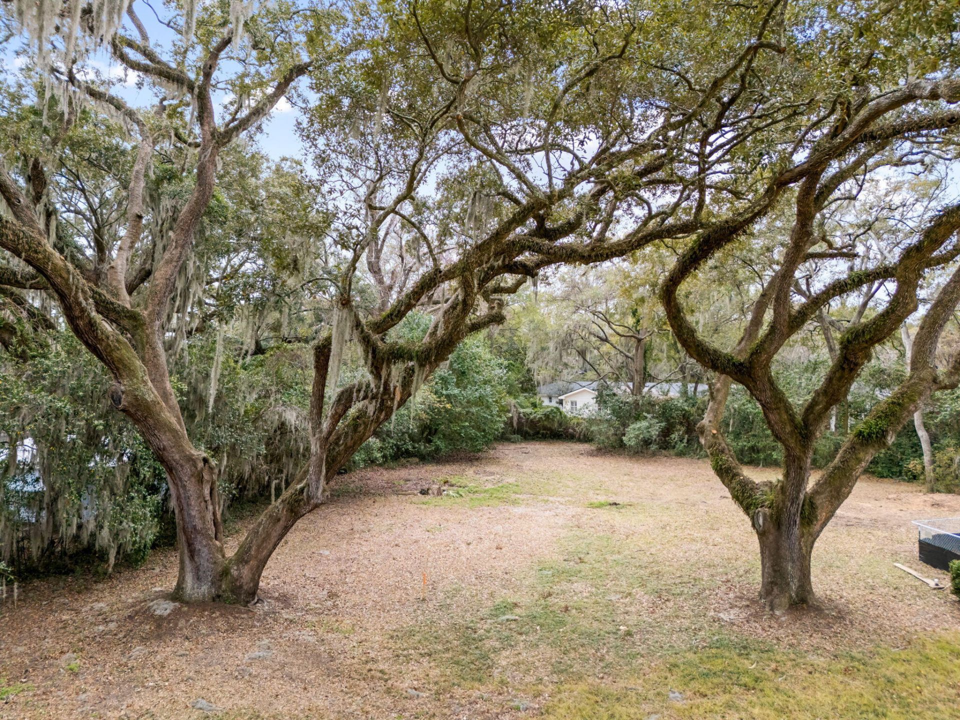 1042 Chambers Lane Photo 4