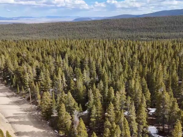 1726 Venture Road , Fairplay, CO 80440