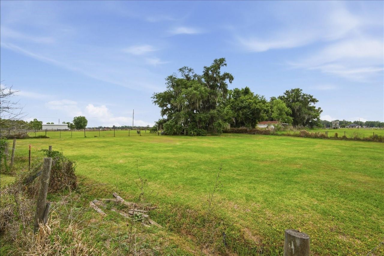1113 Colson Road, Plant City, FL 33567 Photo