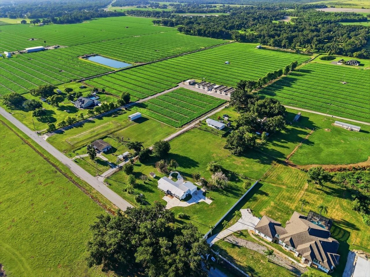 1113 Colson Road, Plant City, FL 33567 Photo