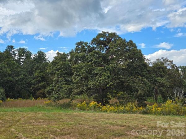 000 Cook Lane , Mills River, NC 28759